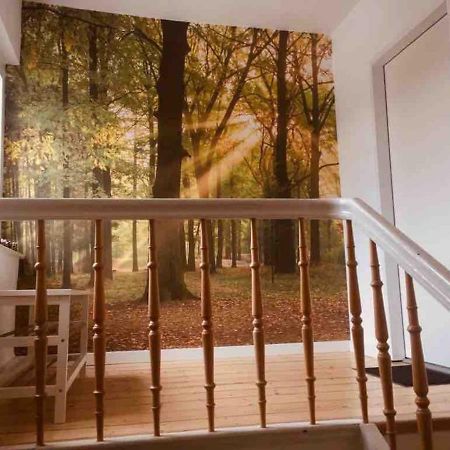 Fewo Waldblick Meschede Exterior foto