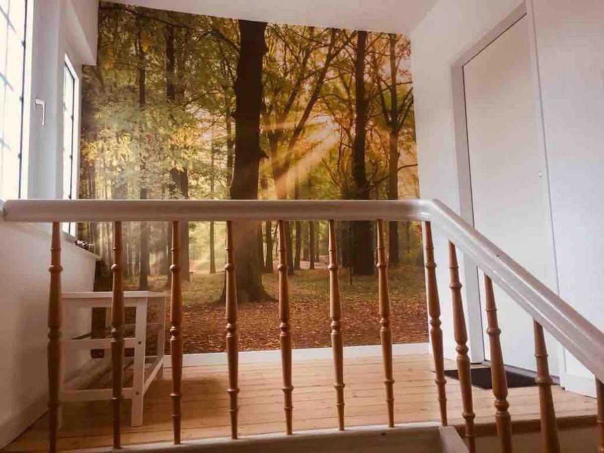 Fewo Waldblick Meschede Exterior foto